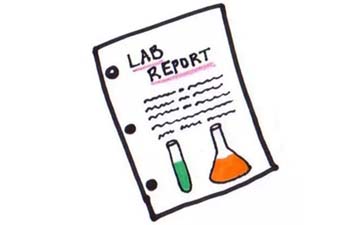 Lab Report格式