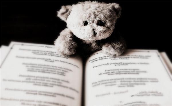 小熊和一本书